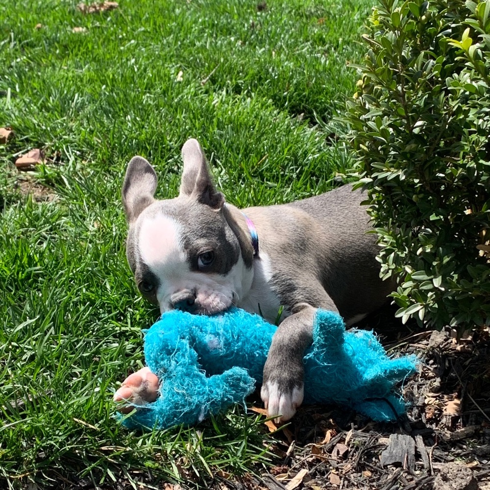 Meet your Posher, Emilia